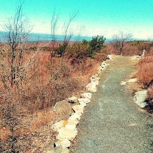 Meet your Posher, Aly